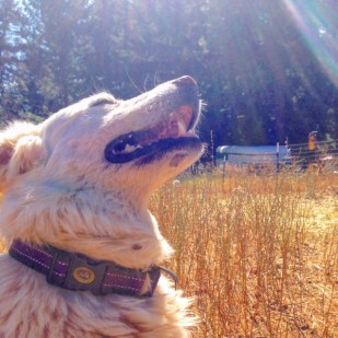 8758adc0-1e17-4f22-8e83-99607f25278d